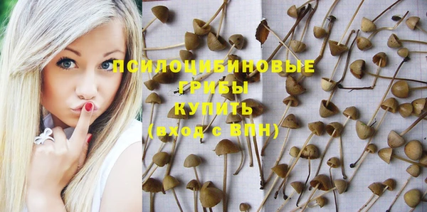 бошки Осташков