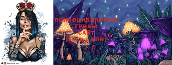 шишки Богданович