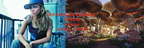 спайс Осинники