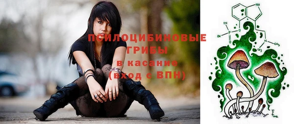 спайс Осинники