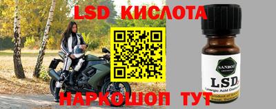 стаф Волгодонск