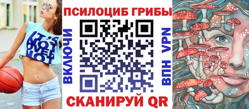 мориарти клад  Раменское  Псилоцибиновые грибы Magic Shrooms 