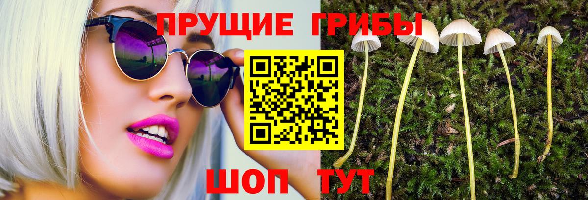 Псилоцибиновые грибы MAGIC MUSHROOMS Раменское