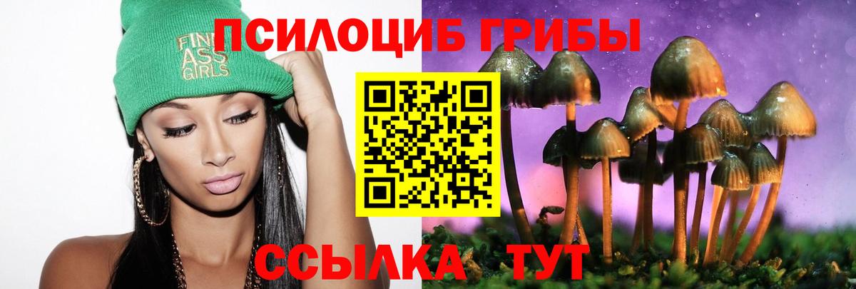Раменское  Галлюциногенные грибы Psilocybe  Псилоцибиновые грибы ЛСД  Вход с VPN 